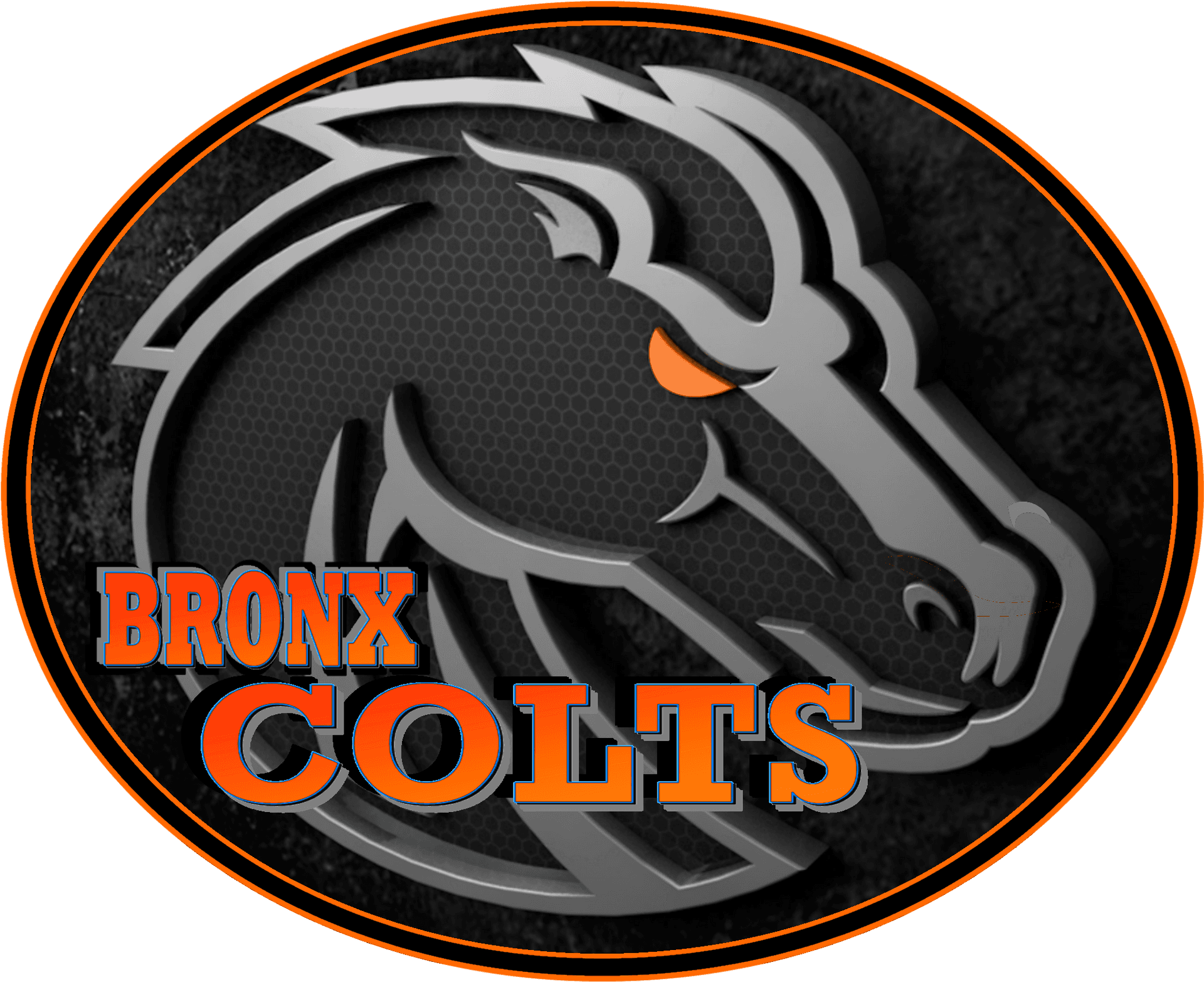 Bronx Colts Team Logo PNG Image