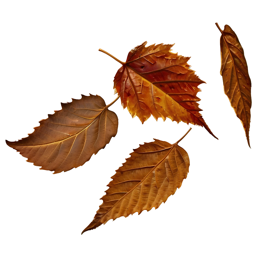 Brown Autumn Leaves Png 20 PNG Image