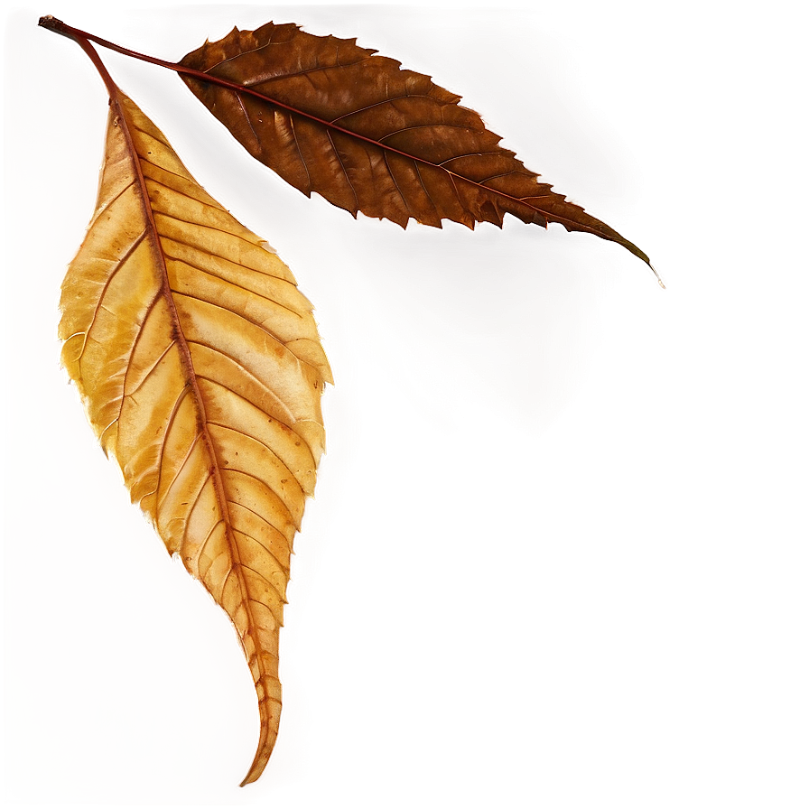 Brown Autumn Leaves Png Gqu PNG Image