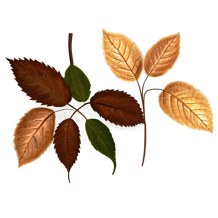 Brown Autumn Leaves Png Ugn72 PNG Image