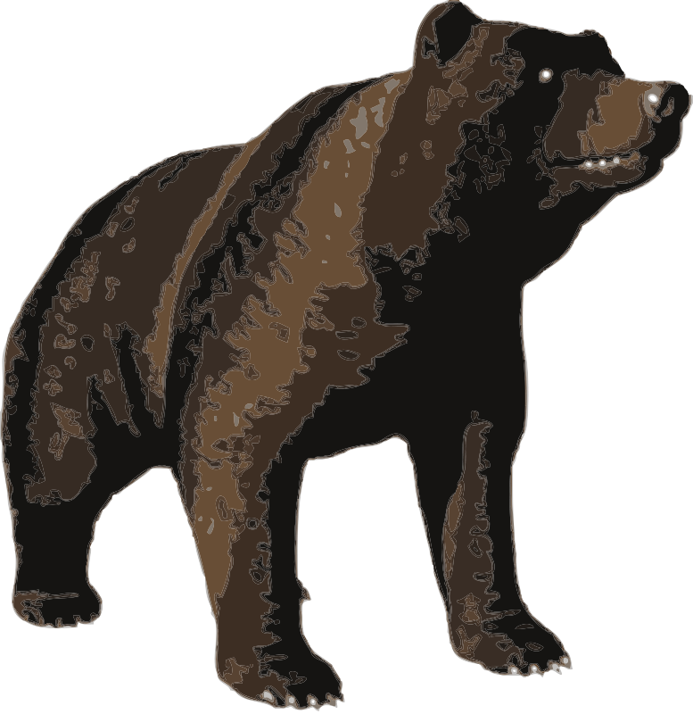 Brown Bear Illustration PNG Image