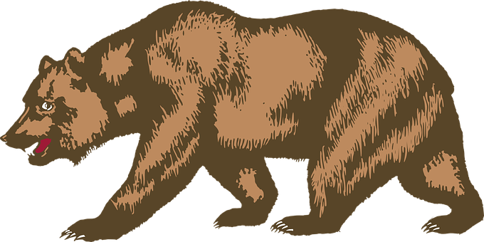 Brown Bear Illustration PNG Image