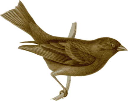 Brown Bird Illustration PNG Image