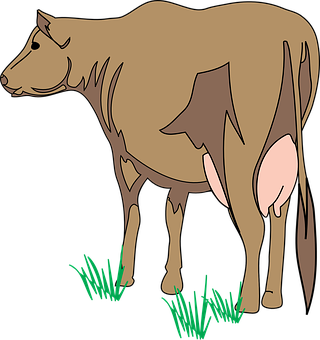 Brown Cow Illustration PNG Image