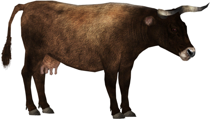 Brown Cow Profile PNG Image