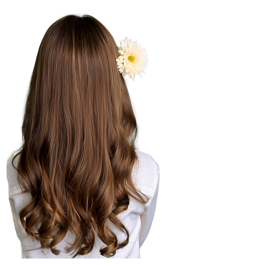 Brown Hair With Flowers Png Tdo80 PNG Image