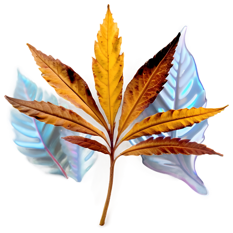 Brown Leaf Png Mhl PNG Image