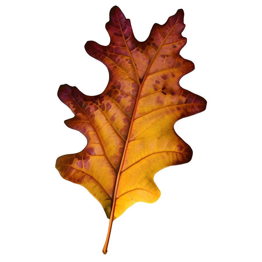 Brown Oak Leaf Fall Png 52 PNG Image