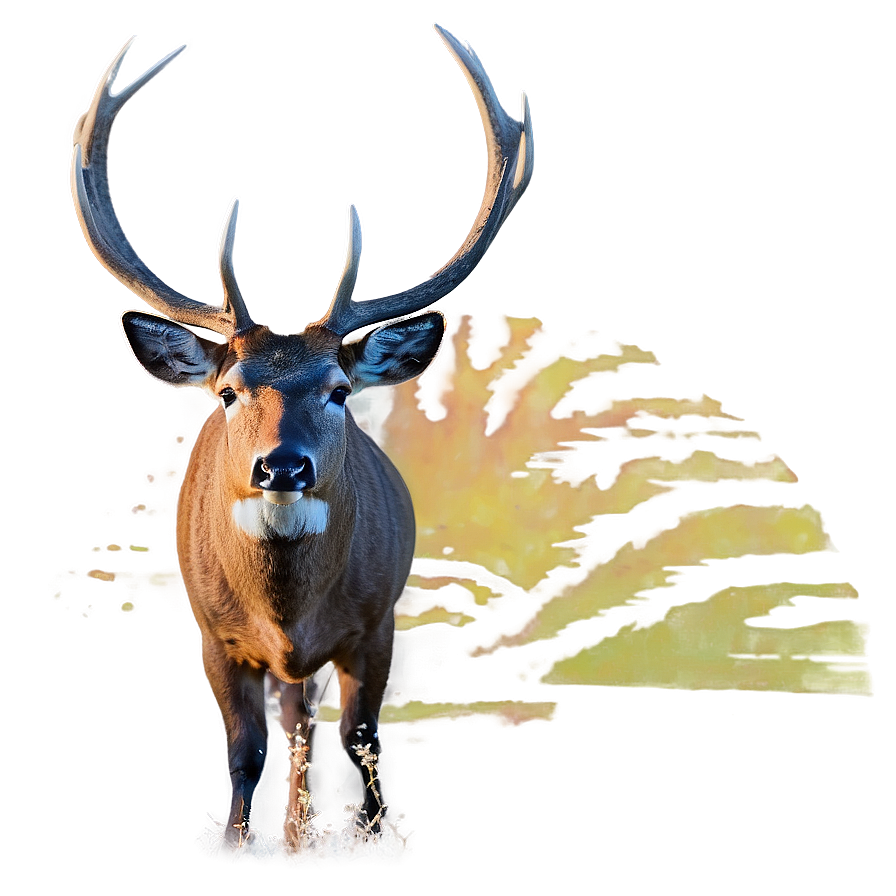 Buck At Sunrise Png 18 PNG Image