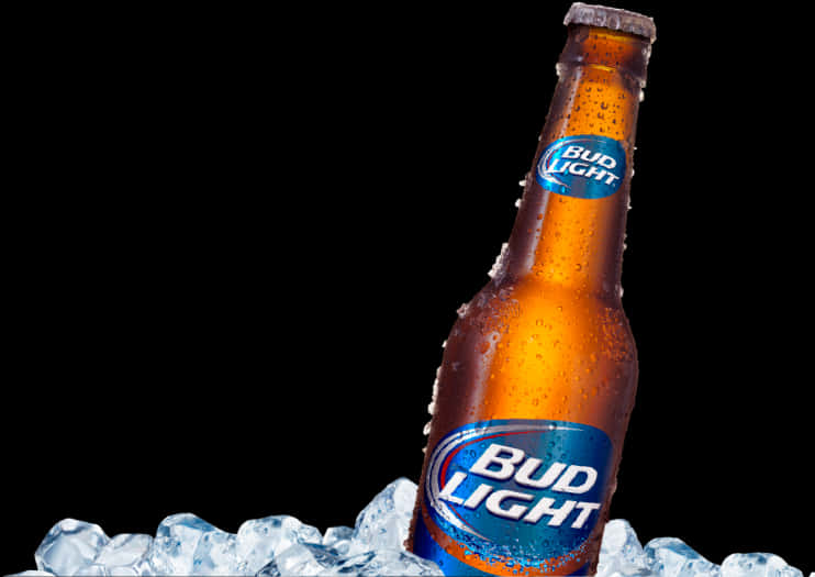 Bud Light Bottle Chilledon Ice PNG Image