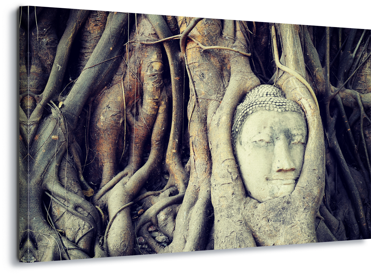 Buddha Head Entwinedin Tree Roots PNG Image