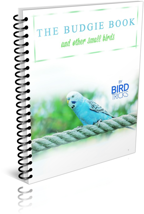 Budgie Book Cover Spiral Bound PNG Image