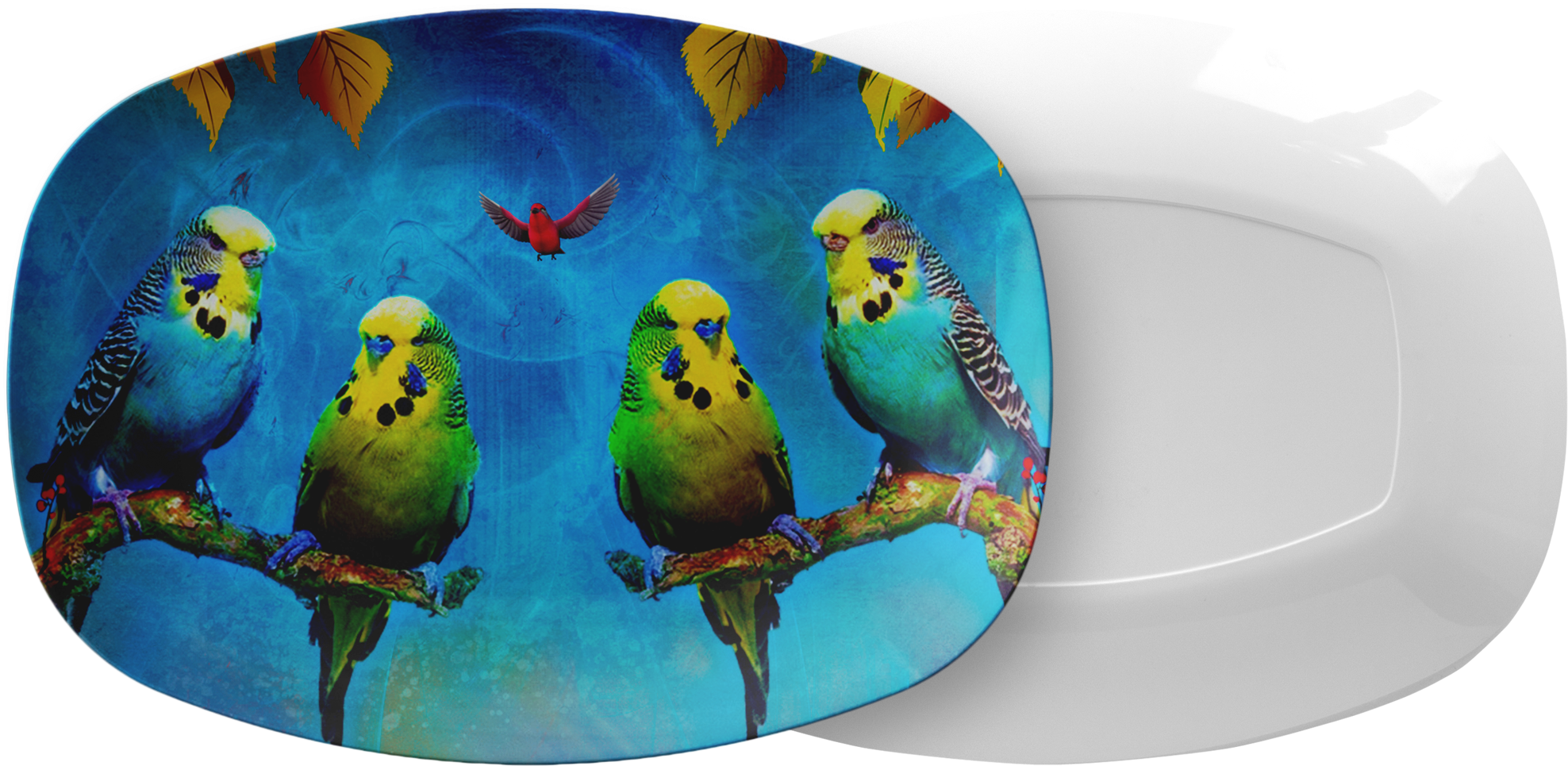 Budgie Decorated Ceramic Plate PNG Image