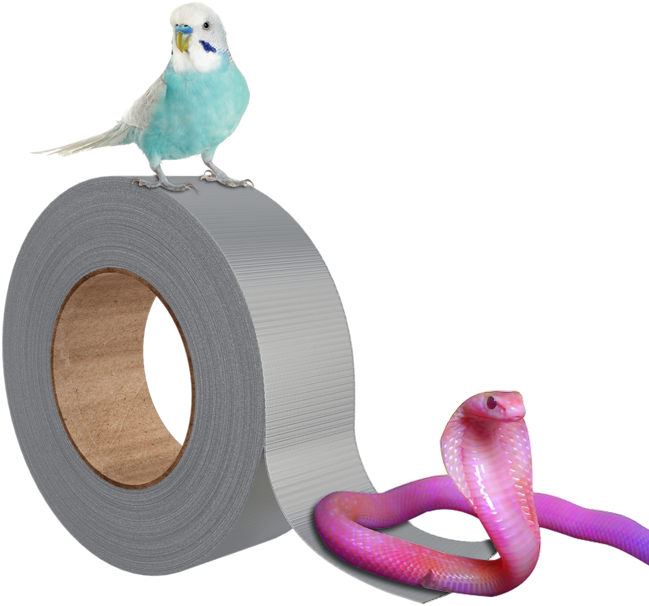 Budgieon Tape Rolland Pink Snake PNG Image