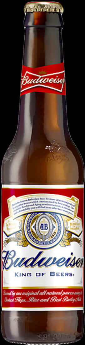 Budweiser Beer Bottle PNG Image