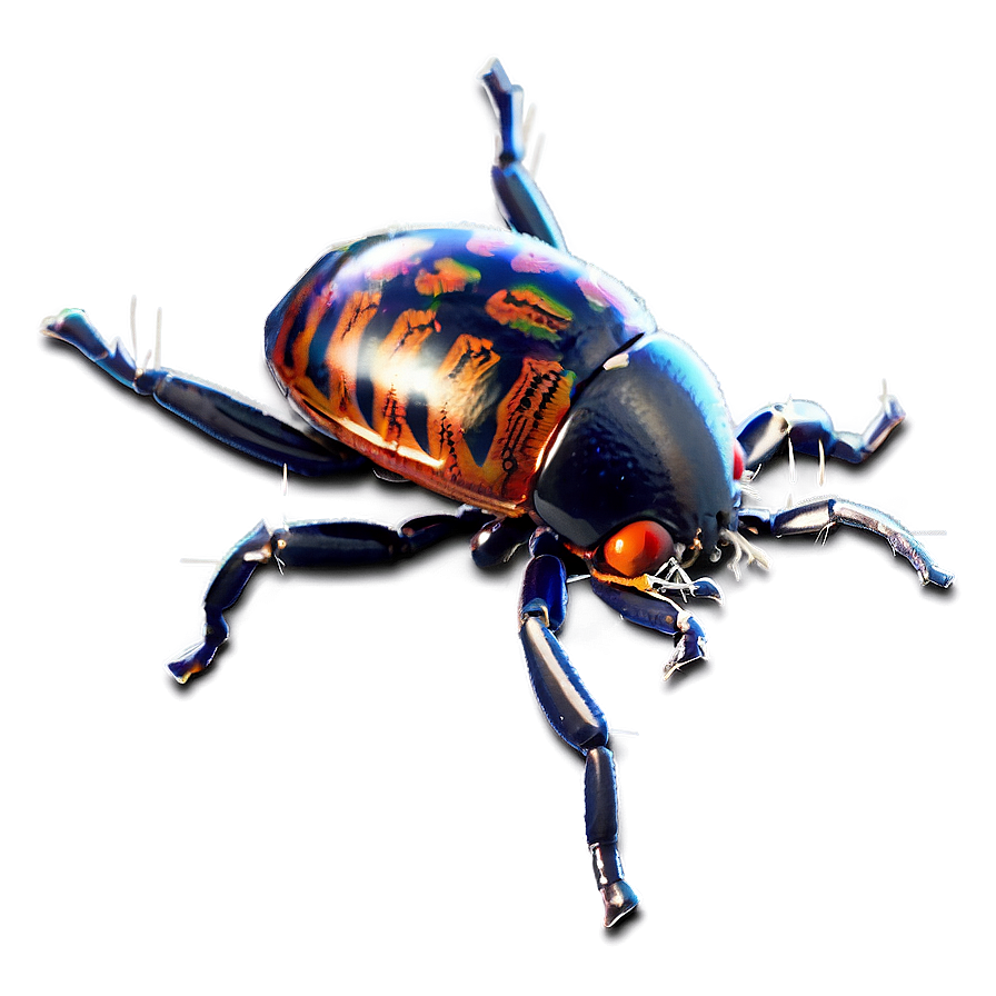 Bug In Web Png Pdw38 PNG Image