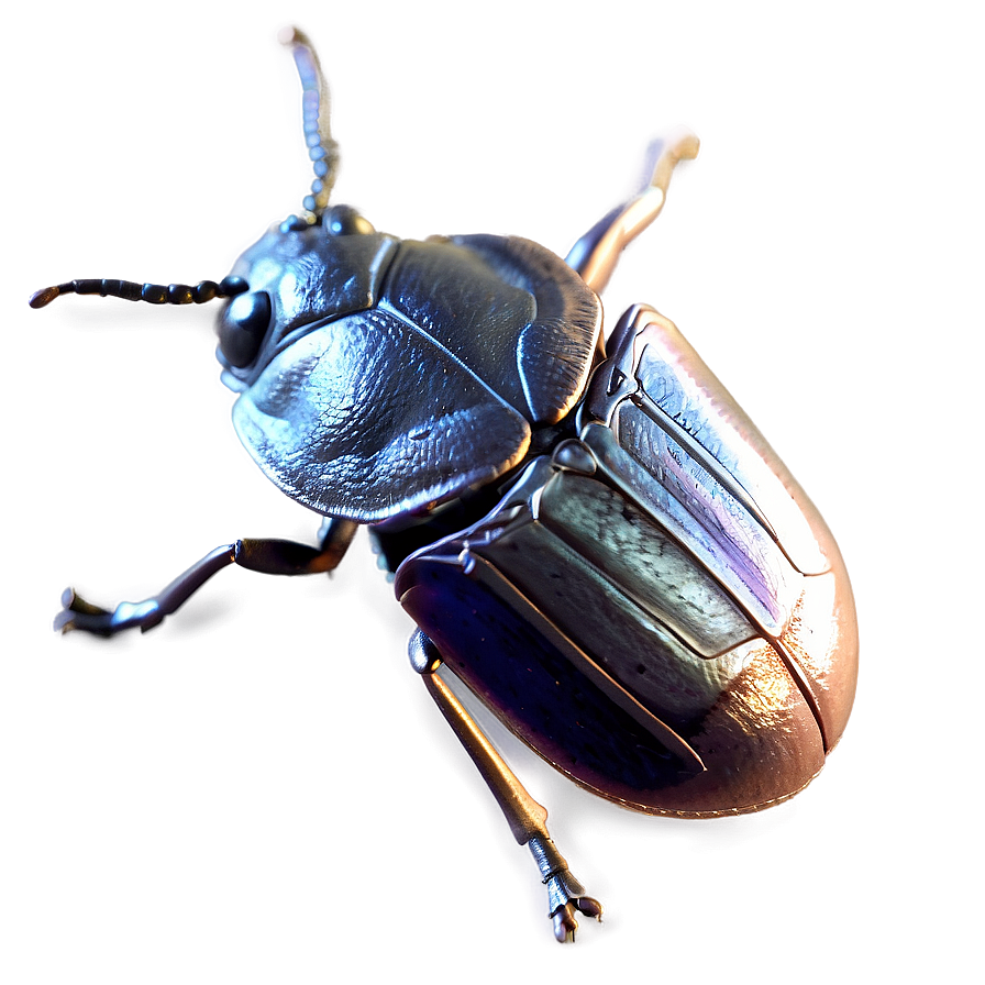 Bug Texture Png Ljk49 PNG Image