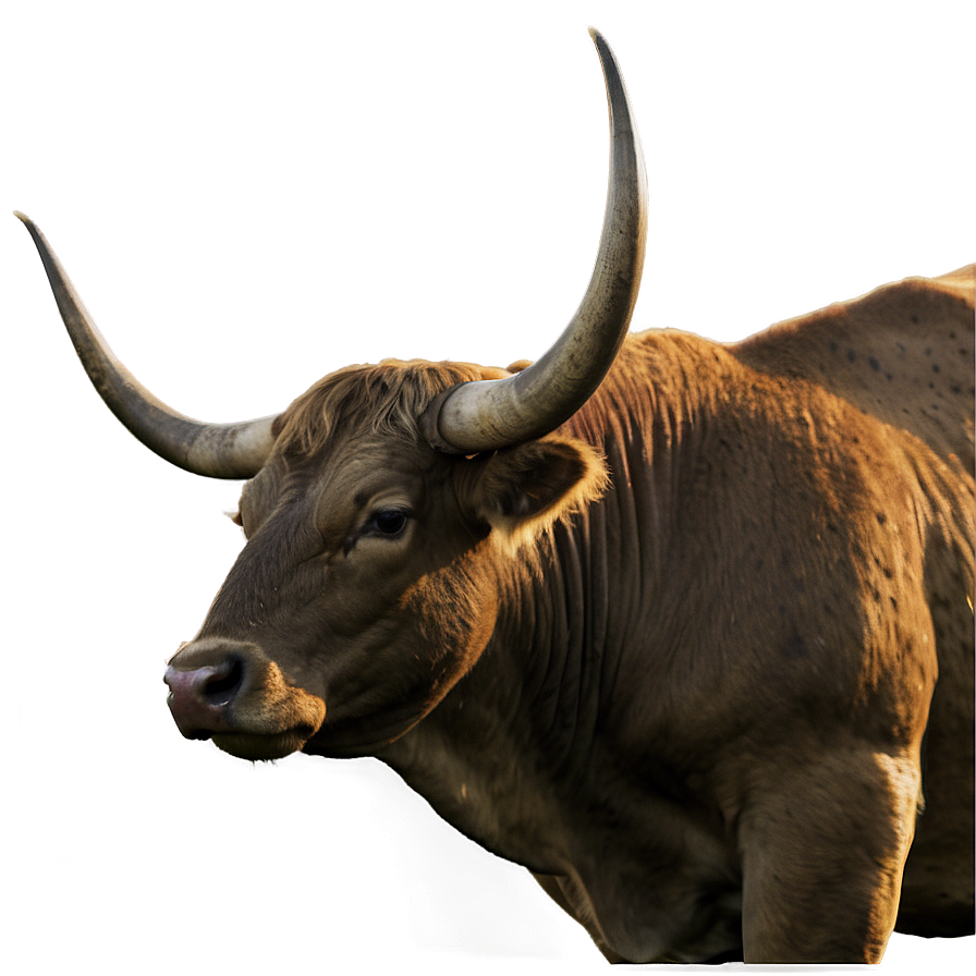 Bull Head In Nature Png 06132024 PNG Image