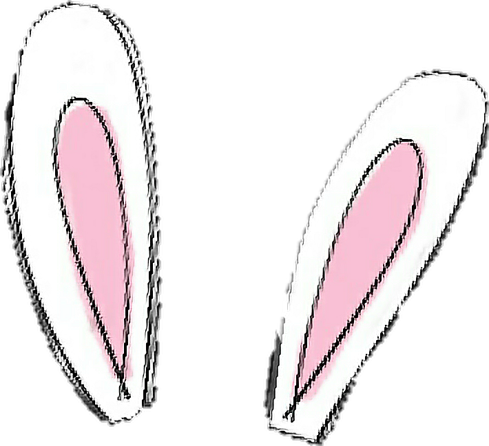 Bunny Ears Illustration.png PNG Image