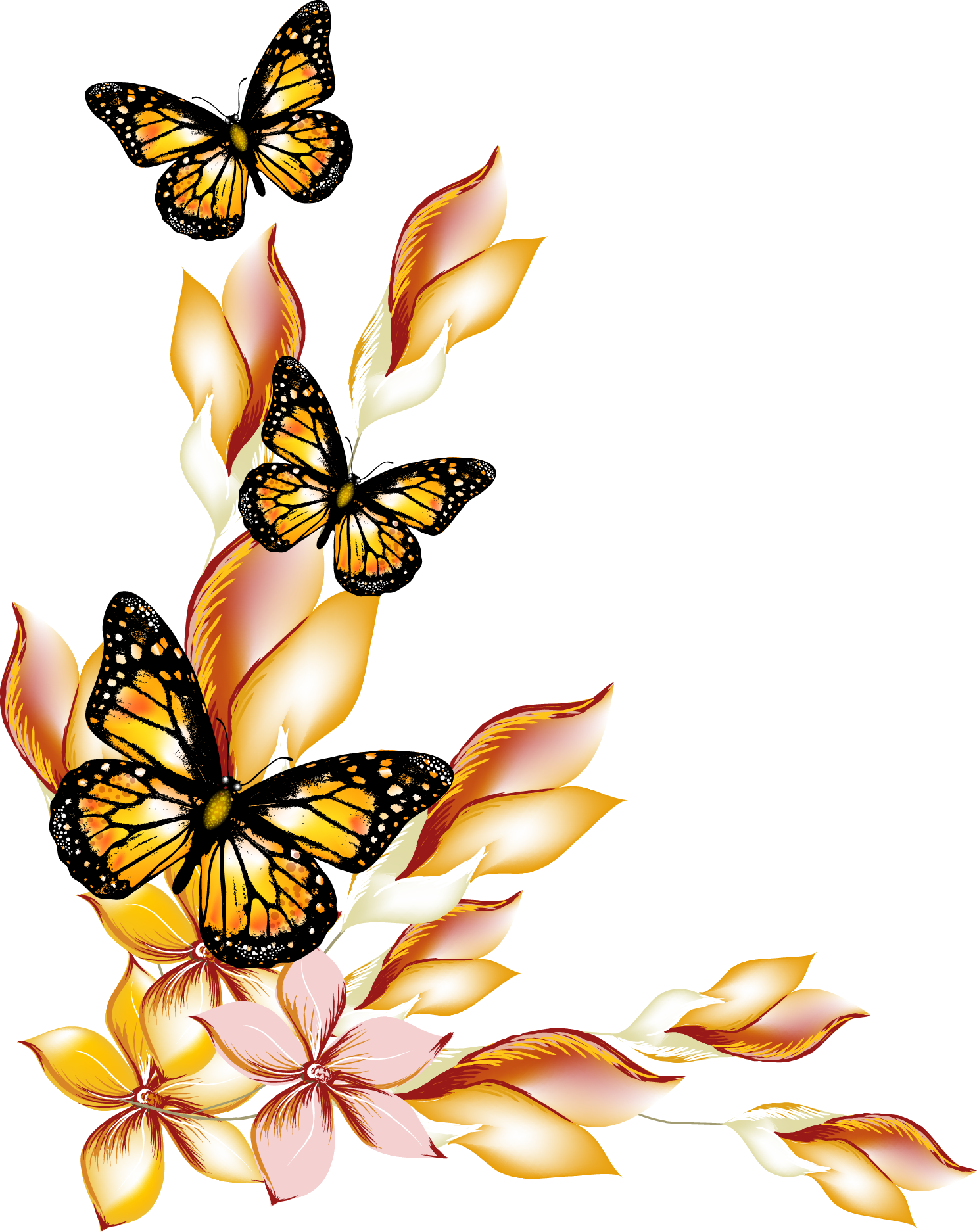 Butterflies_and_ Floral_ Border_ Design PNG Image