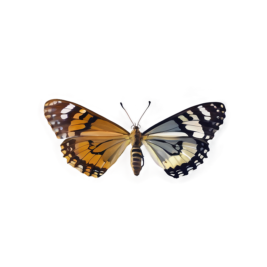 Butterfly In Nature Png Uhe58 PNG Image