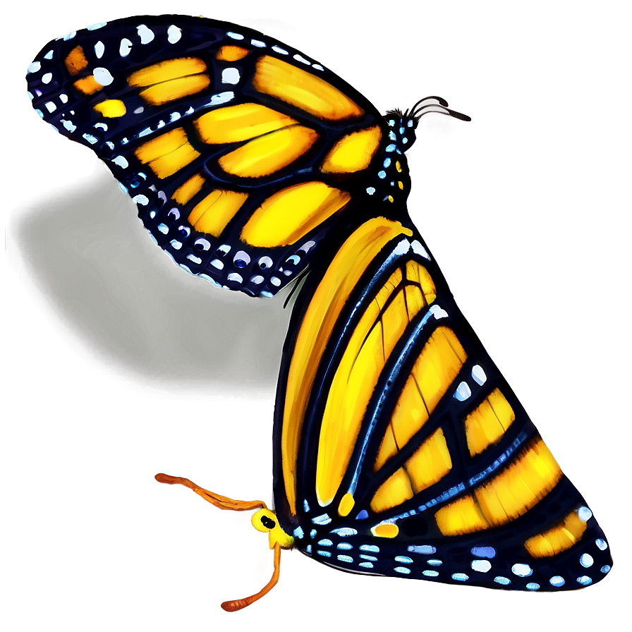 Butterfly Natural Beauty Png 60 PNG Image