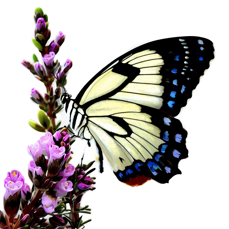 Butterfly On Heather Png Wdd55 PNG Image