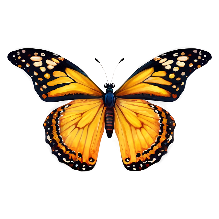 Butterfly Outline Png 05252024 PNG Image