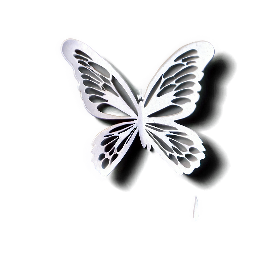 Butterfly Outline Transparent Png 05252024 PNG Image