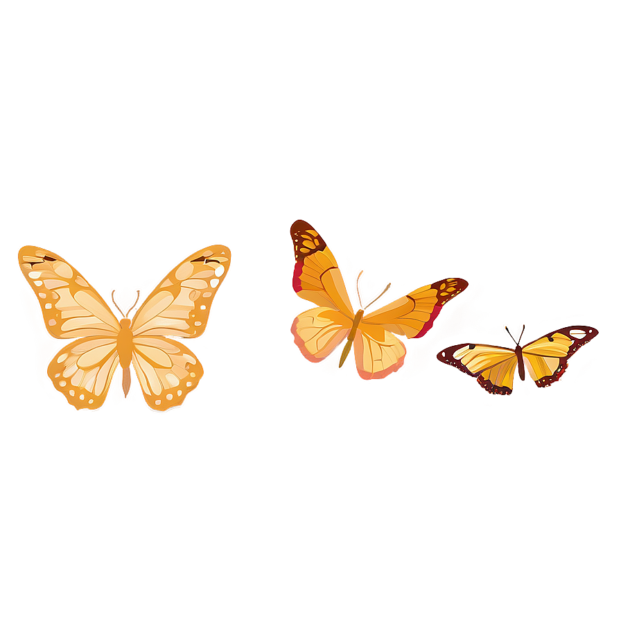 Butterfly Outline Transparent Png 28 PNG Image