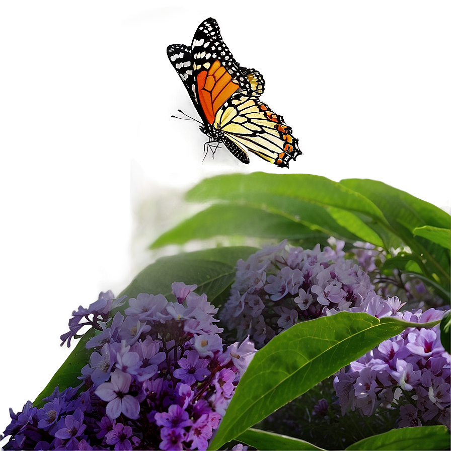 Butterfly Phenomenon Png Ihh PNG Image