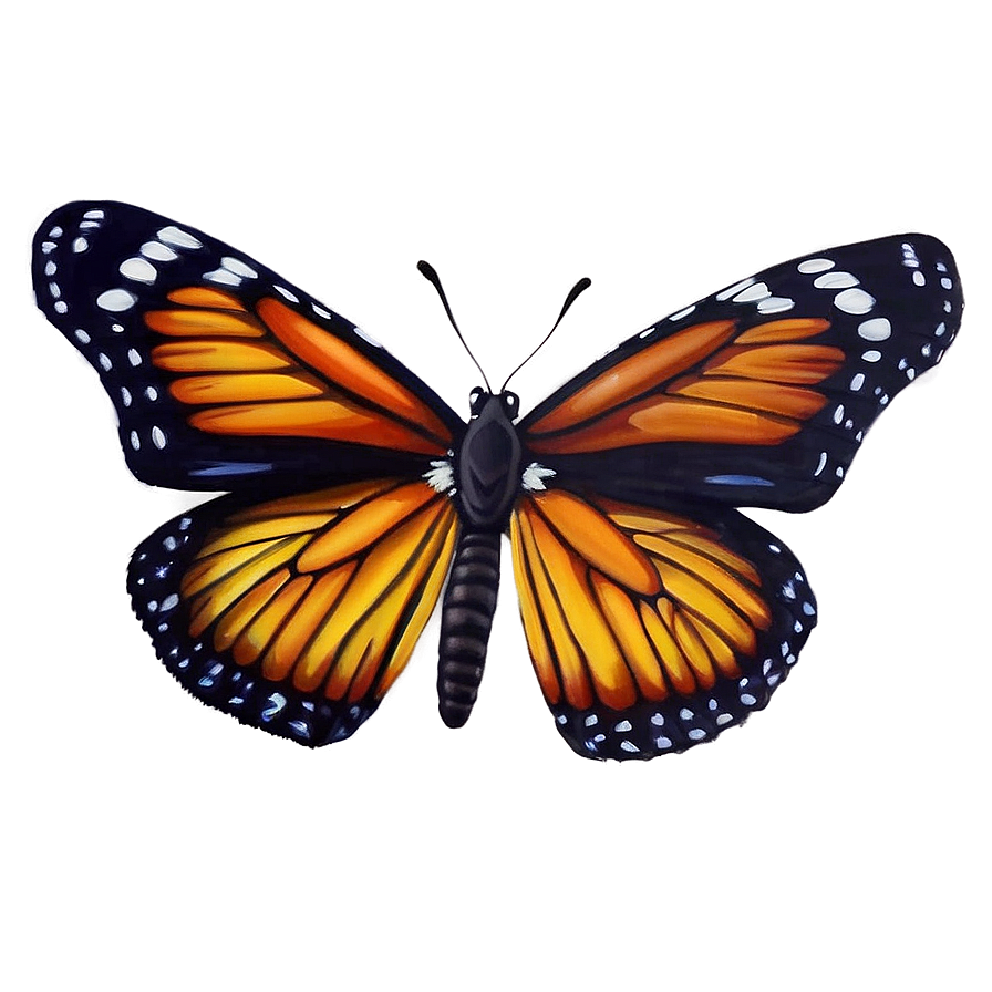 Butterfly Realism Art Png Xnr PNG Image