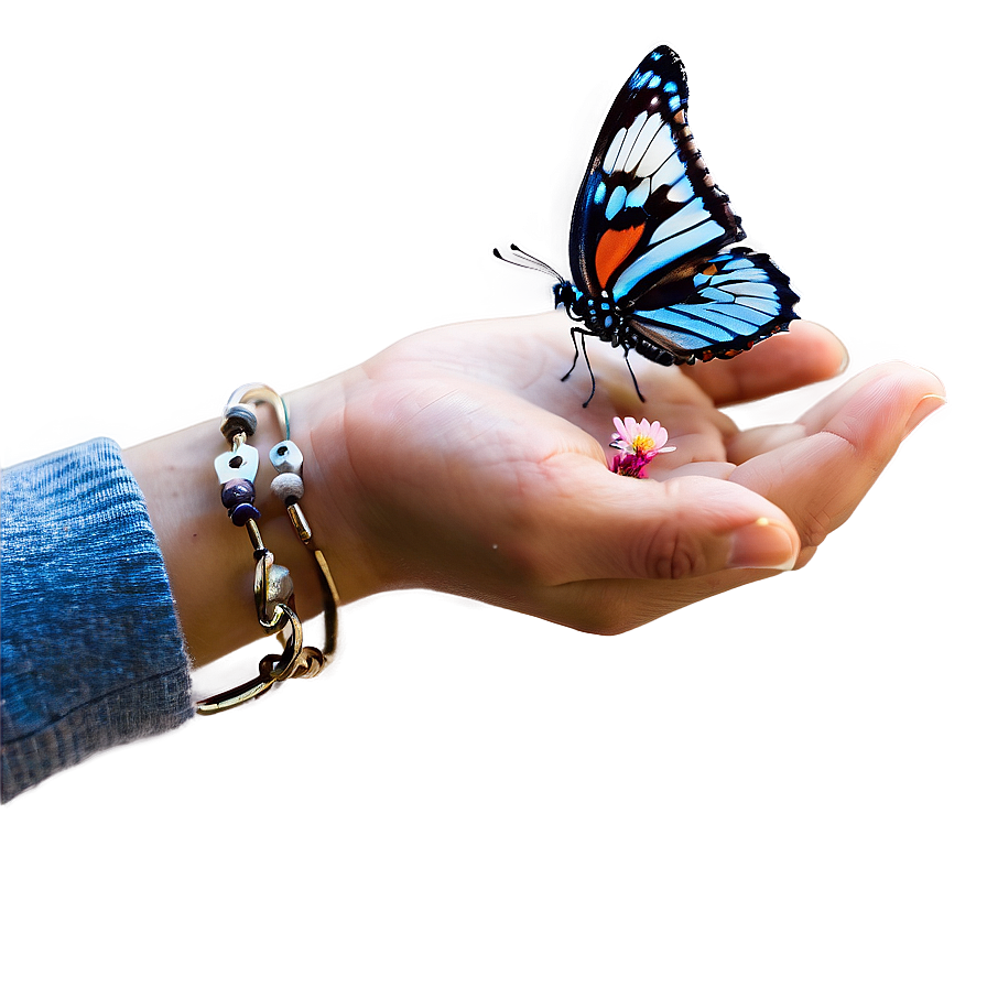 Butterfly Release Memorial Png 16 PNG Image