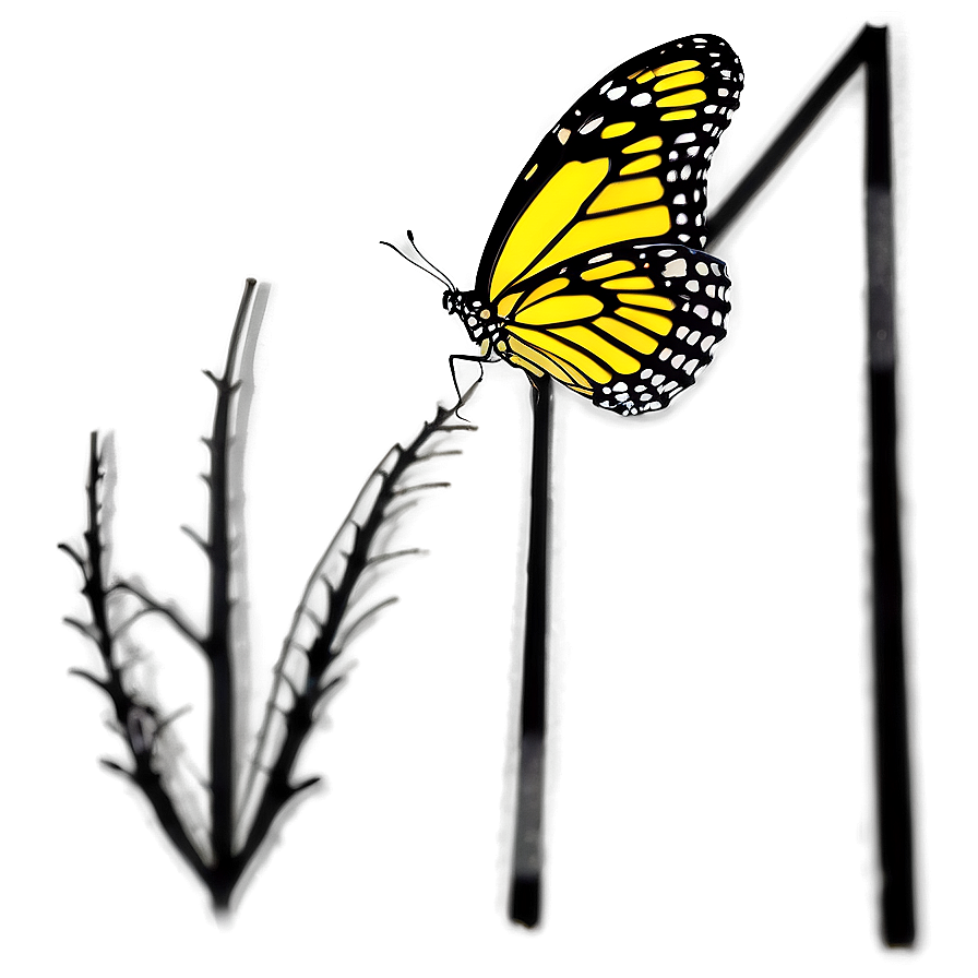 Butterfly Silhouette Outline Png 05252024 PNG Image