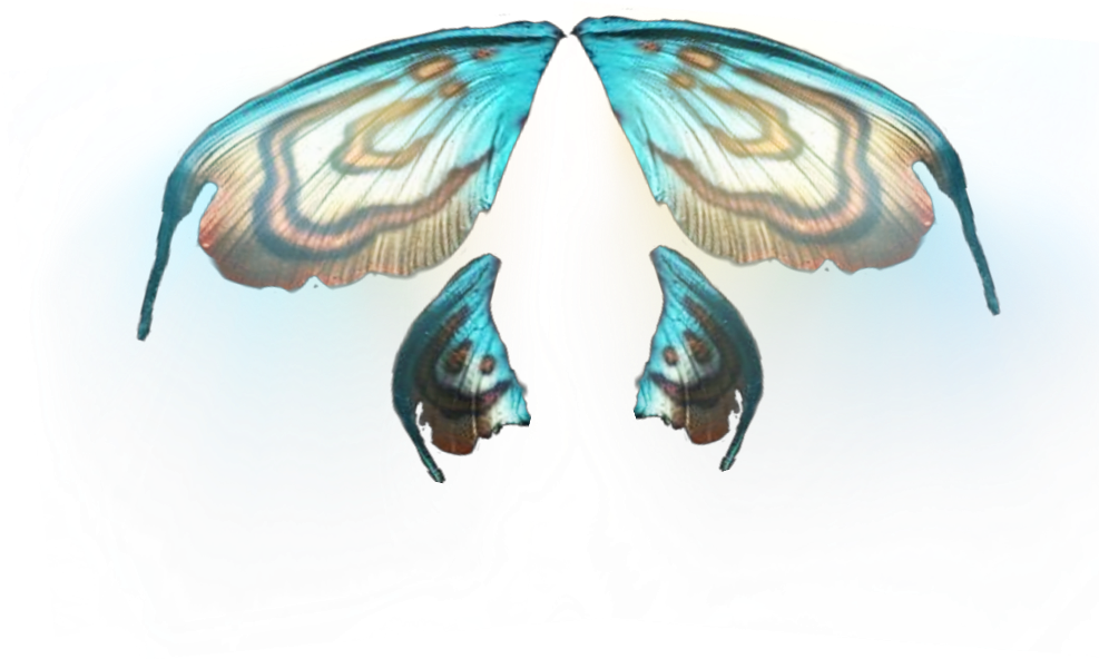 Butterfly Wing Fairy Design PNG Image