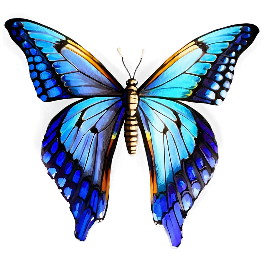 Butterfly Wings Spread Png Dxs87 PNG Image