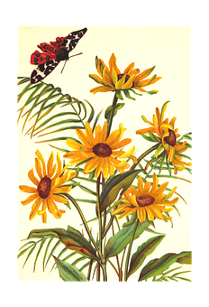 Butterflyon Yellow Flowers Artwork PNG Image