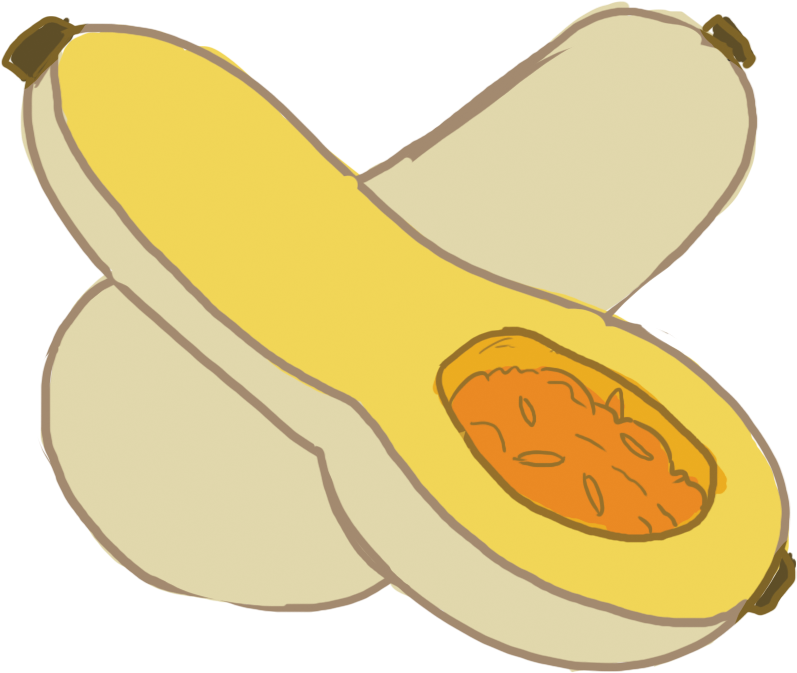 Butternut Squash Half Illustration PNG Image