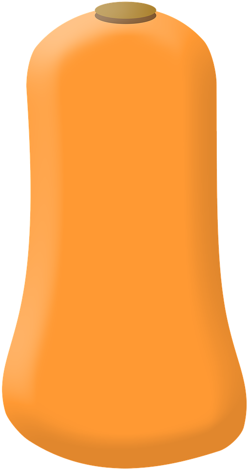 Butternut Squash Vector Illustration PNG Image