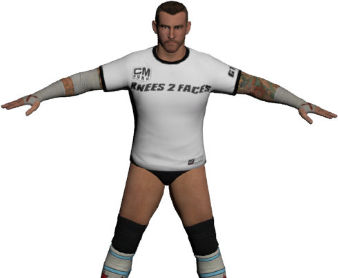 C M Punk Wrestling Pose3 D Model PNG Image