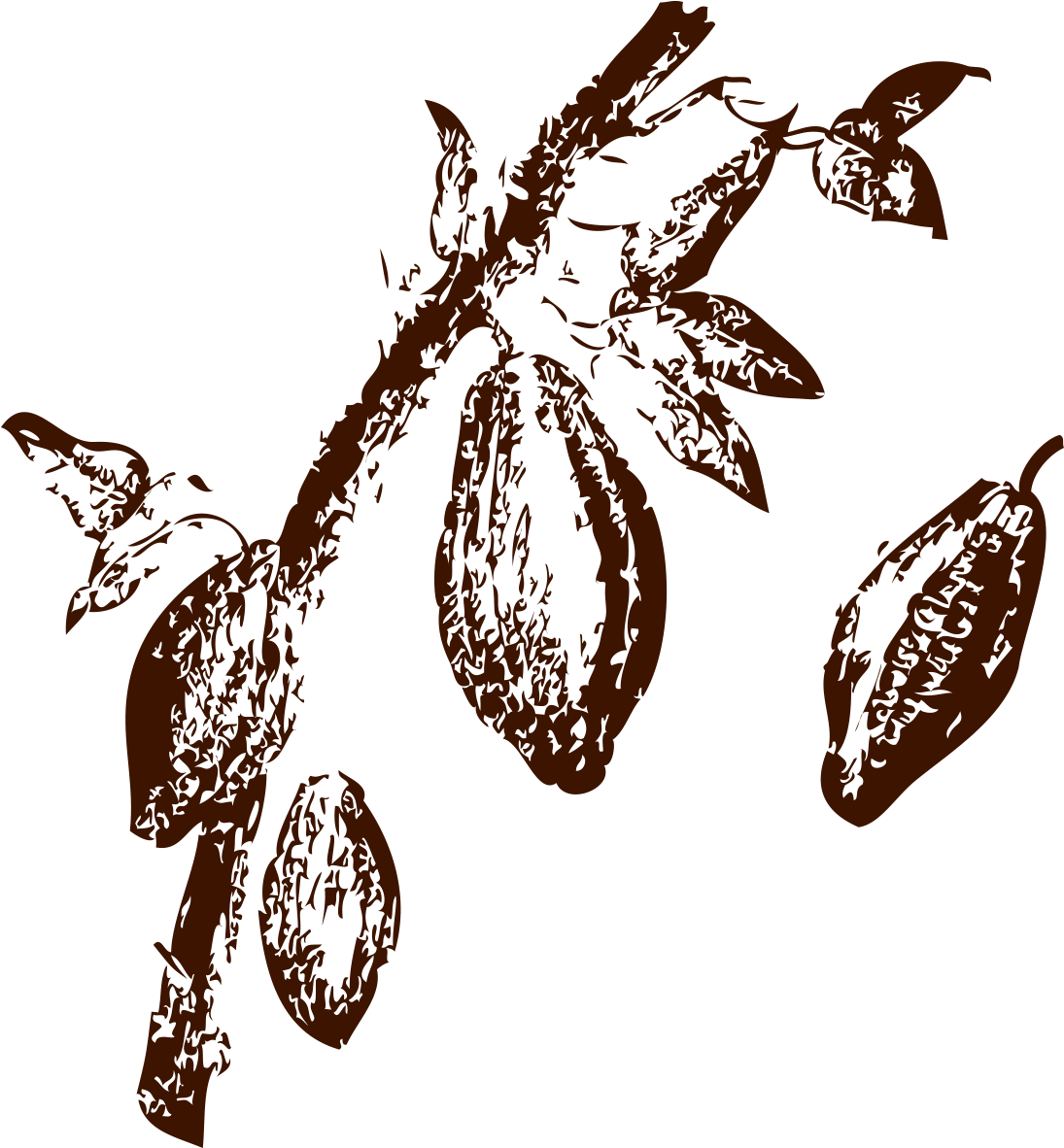 Cacao Pod Illustration.png PNG Image