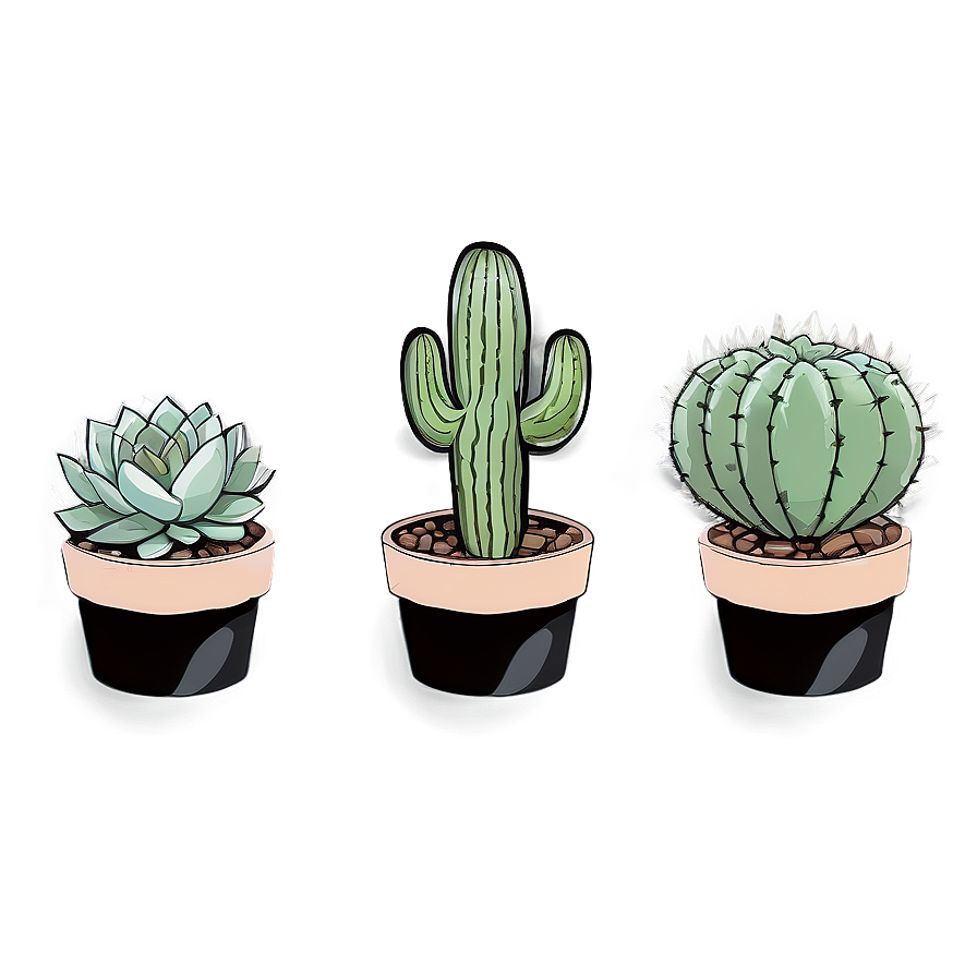 Cactus And Succulents Png 06212024 PNG Image