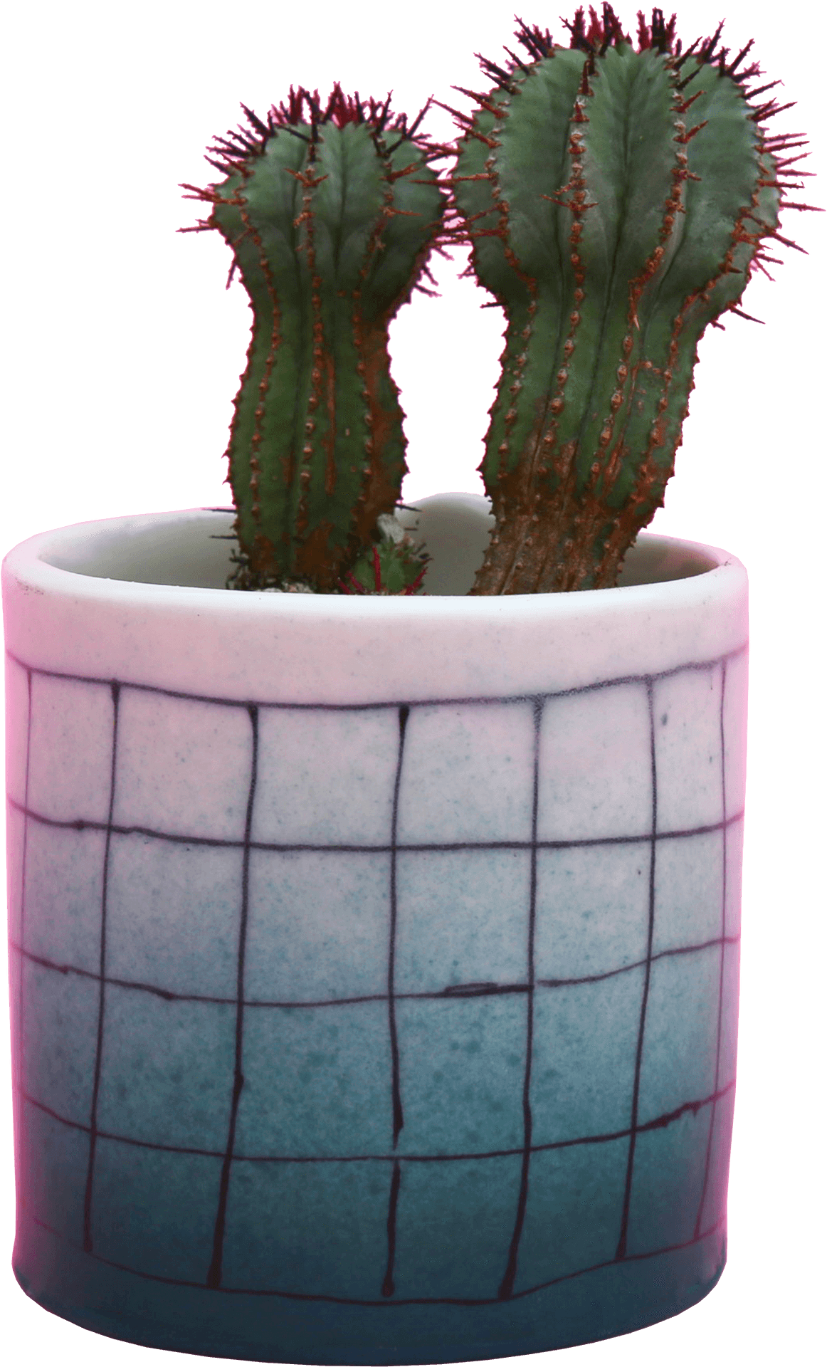 Cactusin Blue Gradient Pot.png PNG Image