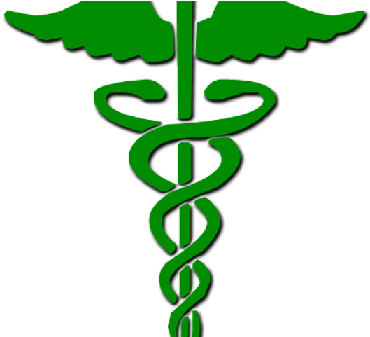 Caduceus Medical Symbol Illustration.png PNG Image