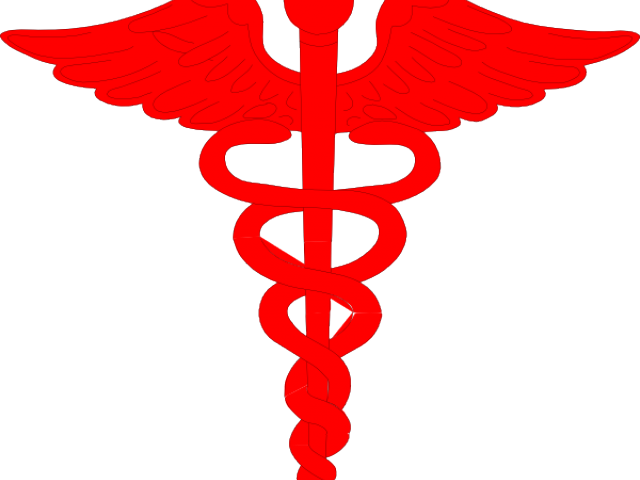 Caduceus Medical Symbol Redand Grey PNG Image