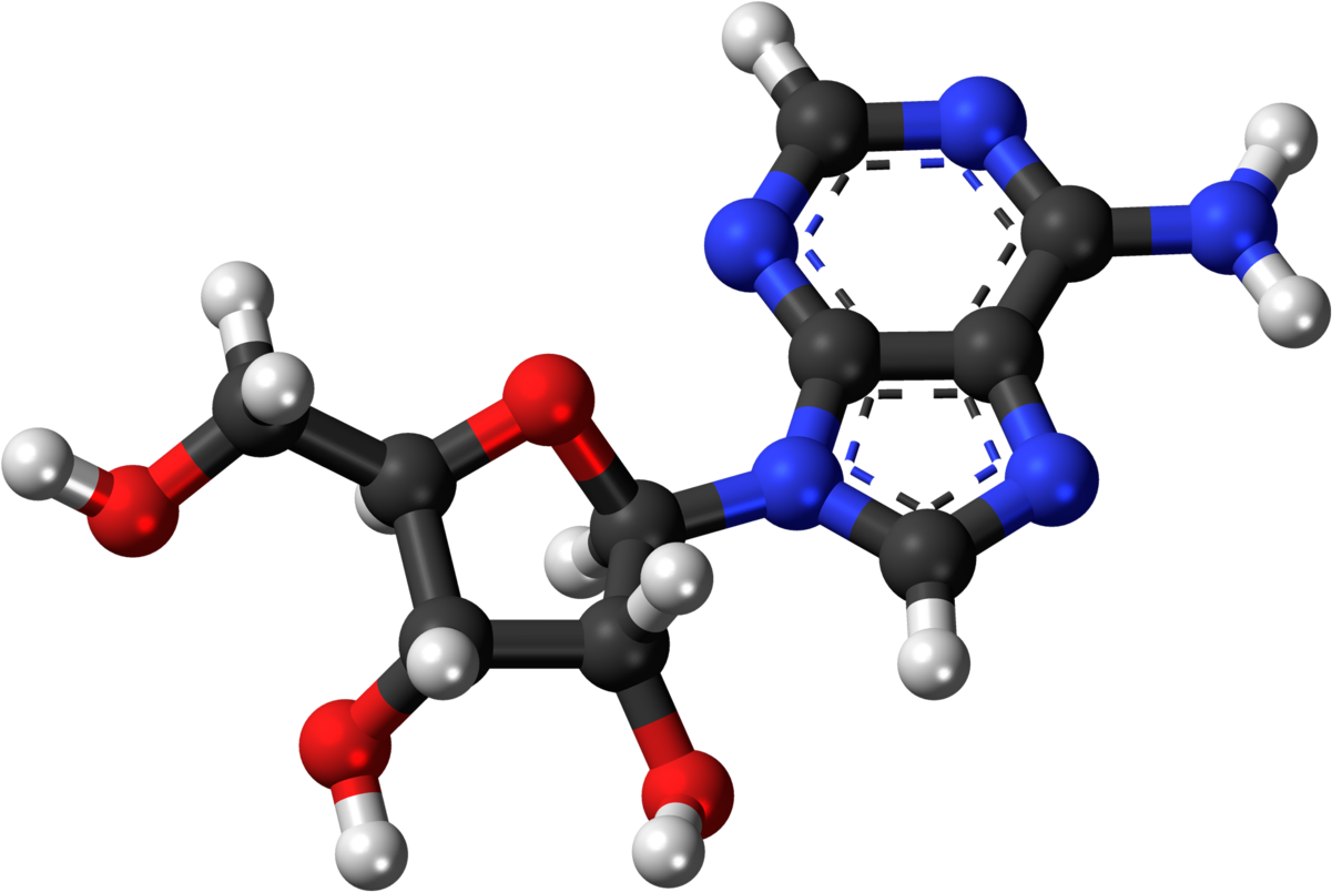 Caffeine Molecule Structure PNG Image