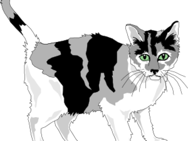 Calico Cat Illustration PNG Image