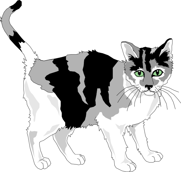 Calico Cat Illustration.png PNG Image