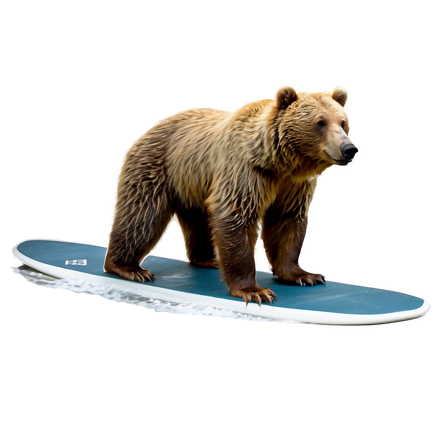 California Surfing Bear Png Xrj62 PNG Image