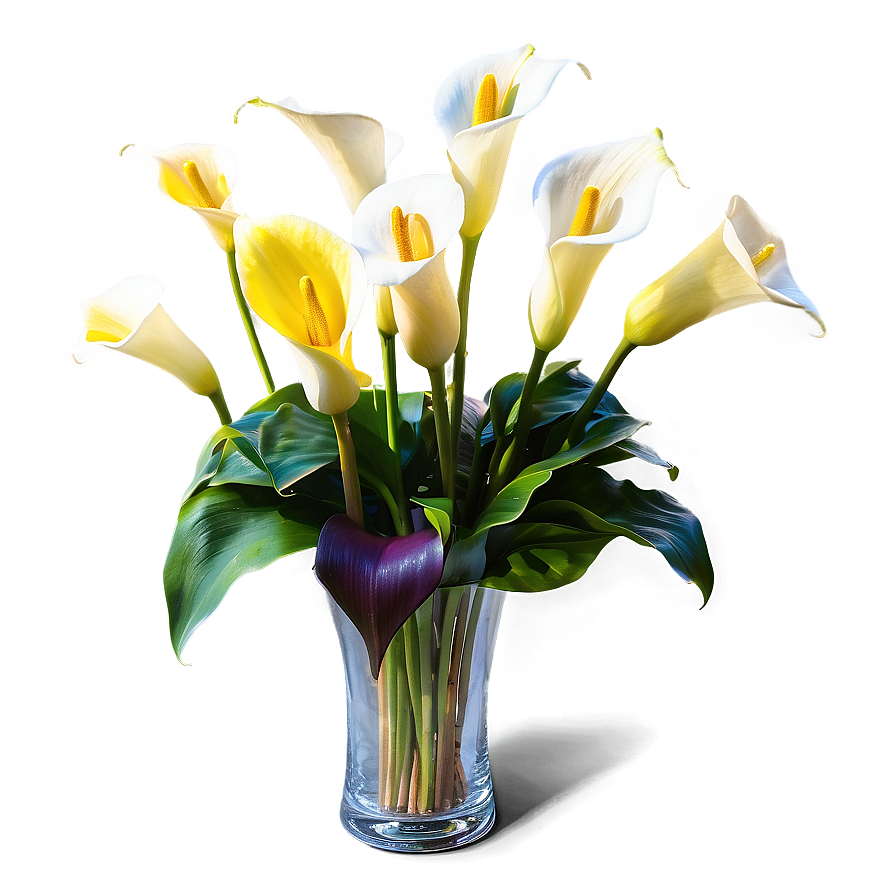 Calla Lily Garden Png Gxs88 PNG Image